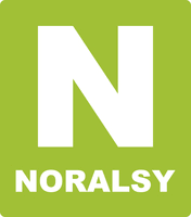 logo noralsy